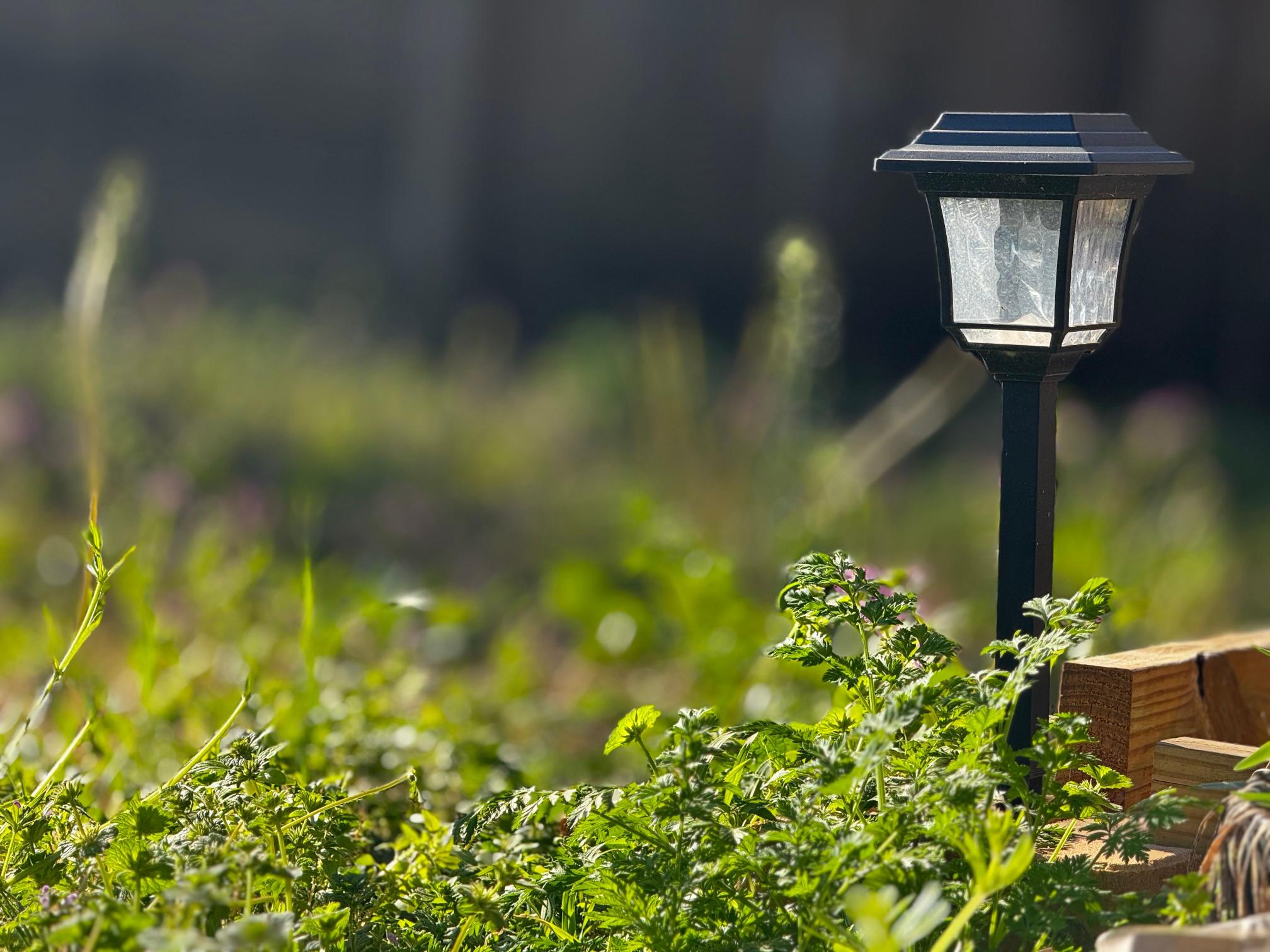lampy ogrodowe led do ziemi